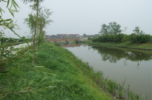 生態(tài)構(gòu)建技術(shù)