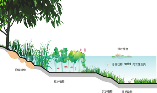 生態(tài)構(gòu)建技術(shù)