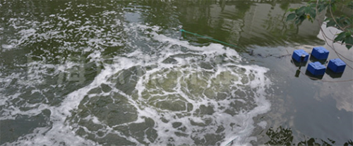 曝氣富氧技術(shù)