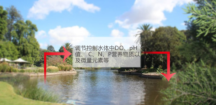 【黑臭水體治理】造紙廢水解決詳細(xì)說明及調(diào)節(jié)運(yùn)作關(guān)鍵點(diǎn)